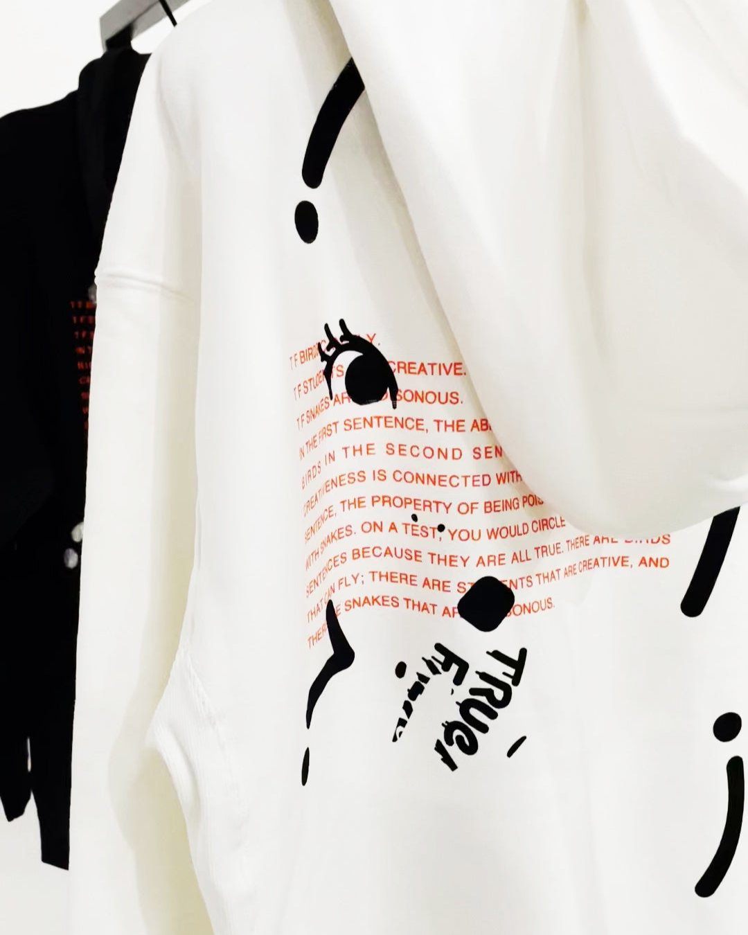 TRUEFALSE®︎ 0001 ed15