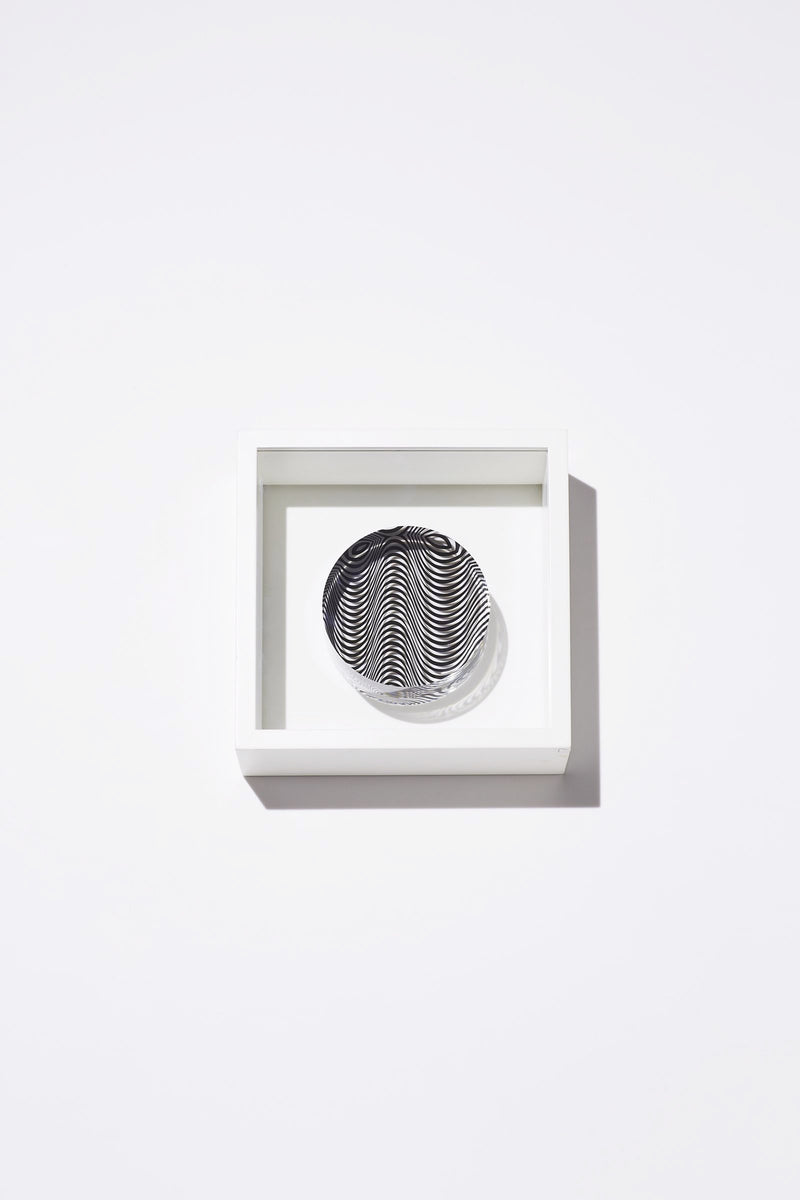 bridget_riley.sample
